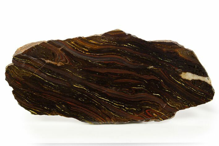 Polished Tiger Iron Stromatolite Slab - Billion Years #317238